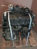 Двигатель б/у к Seat Leon (2005 - 2012) BKC, BLS, BXE 1,9 Дизель контрактный, арт. 164SE